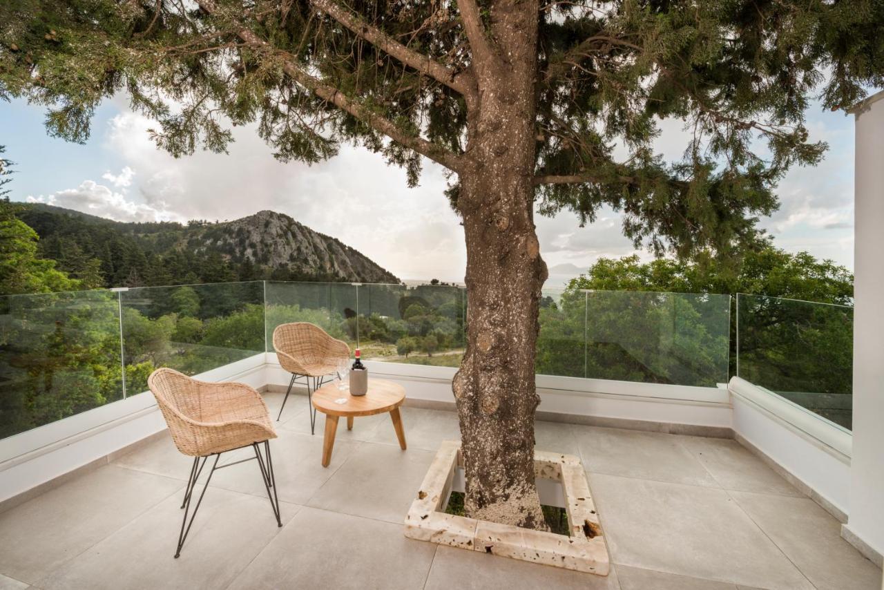 Forest View Villas 1 Lagoudi Zia Экстерьер фото