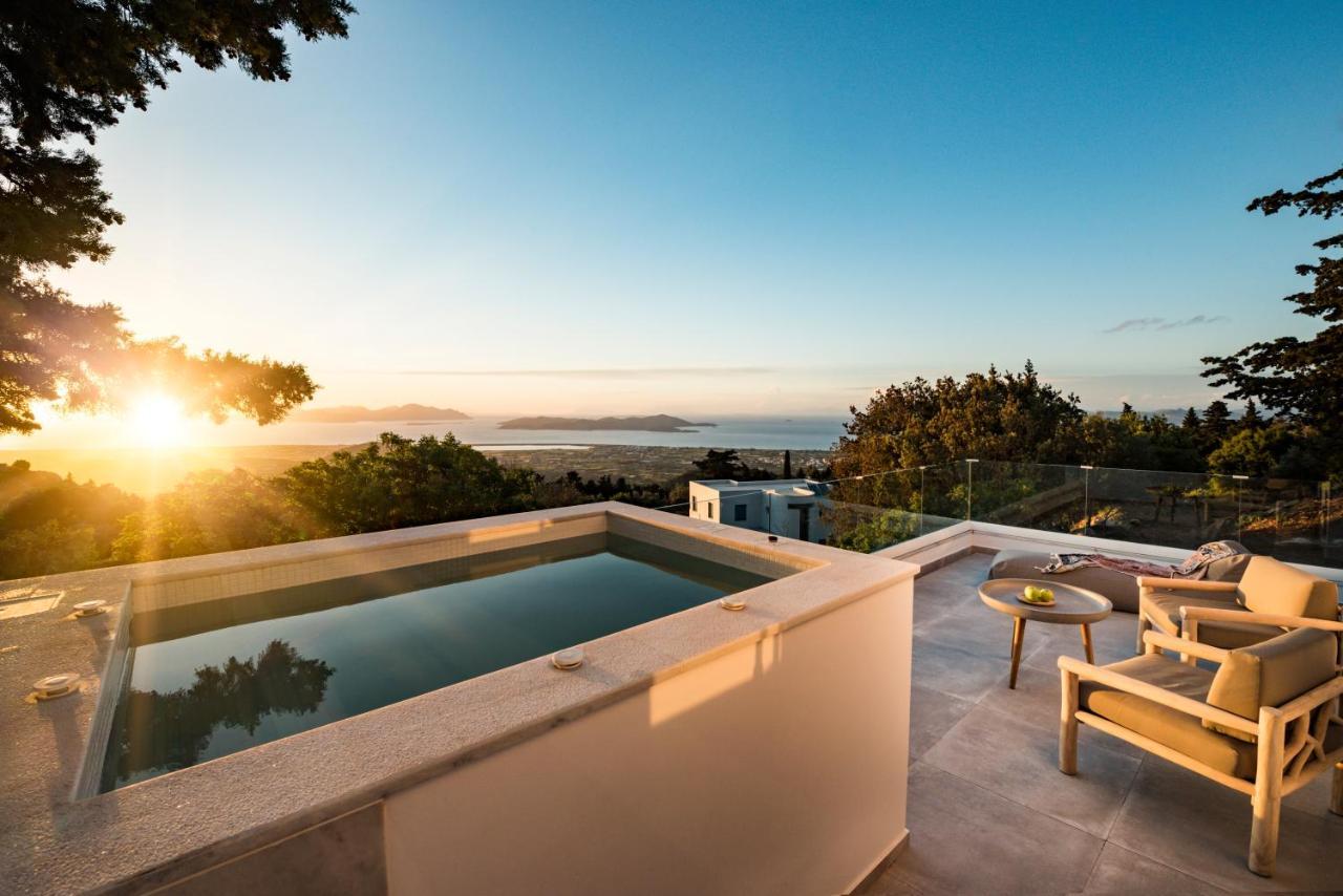 Forest View Villas 1 Lagoudi Zia Экстерьер фото